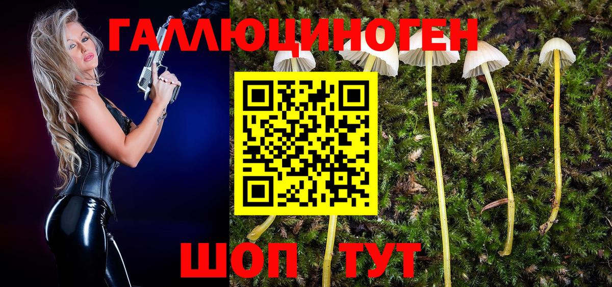 магазин  наркотиков  Галлюциногенные грибы Cubensis  Вход с VPN  Всеволожск 