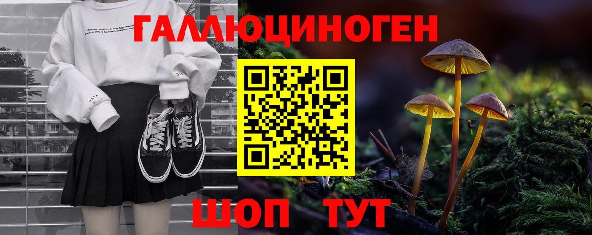Галлюциногенные грибы Psilocybine cubensis Всеволожск
