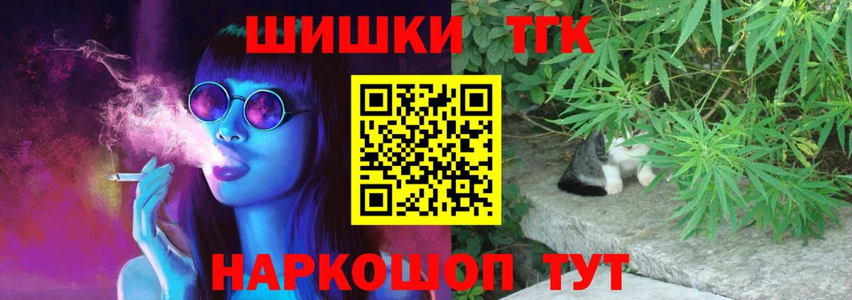 Бошки Шишки план Всеволожск